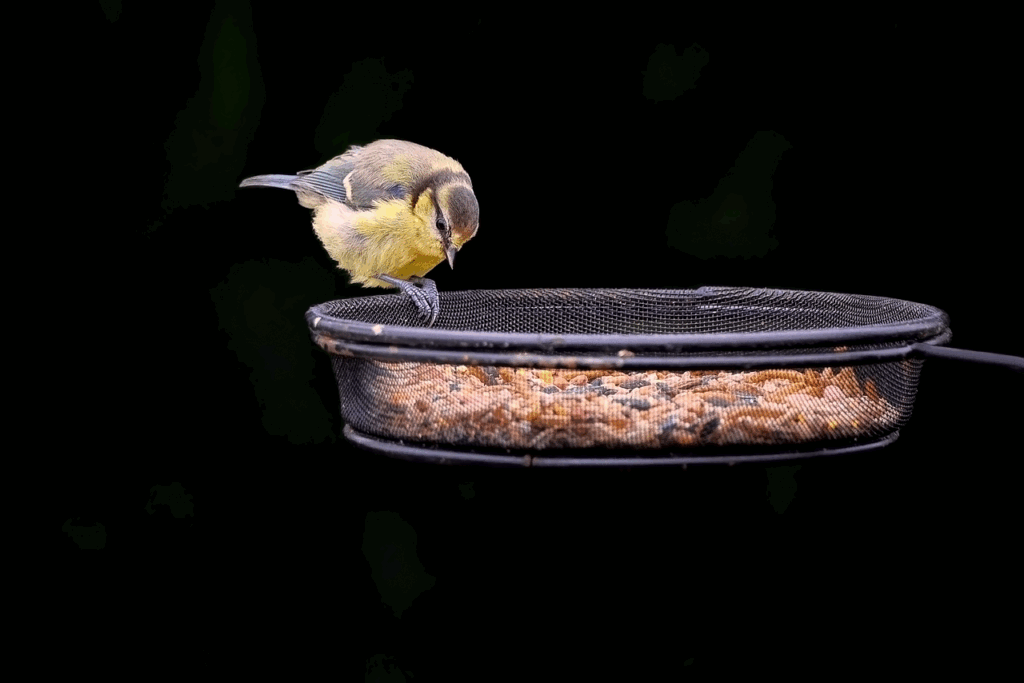 下駄箱の臭い対策にはどんな方法がある？