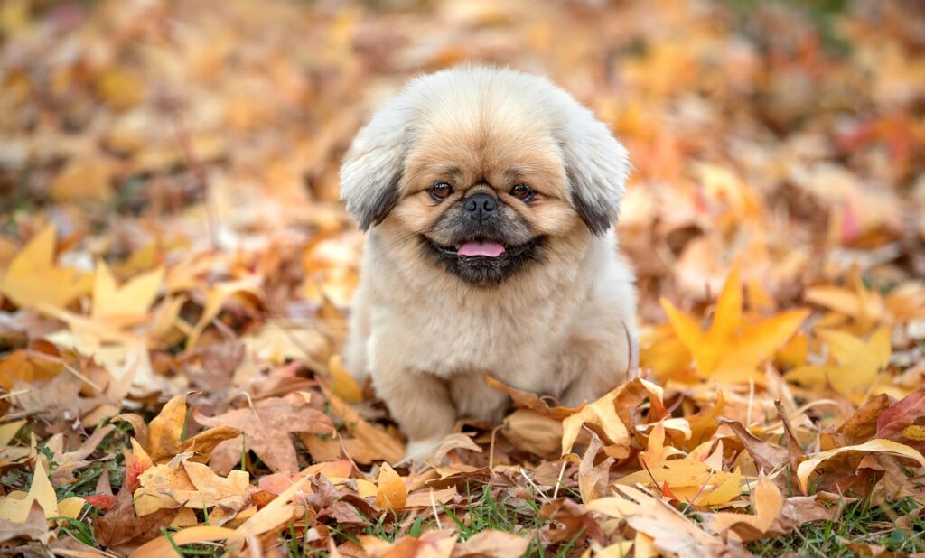 足の臭いが気になる時、病院で受けるべき診察内容は？