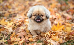 ブーツが臭い原因とその解消法は？