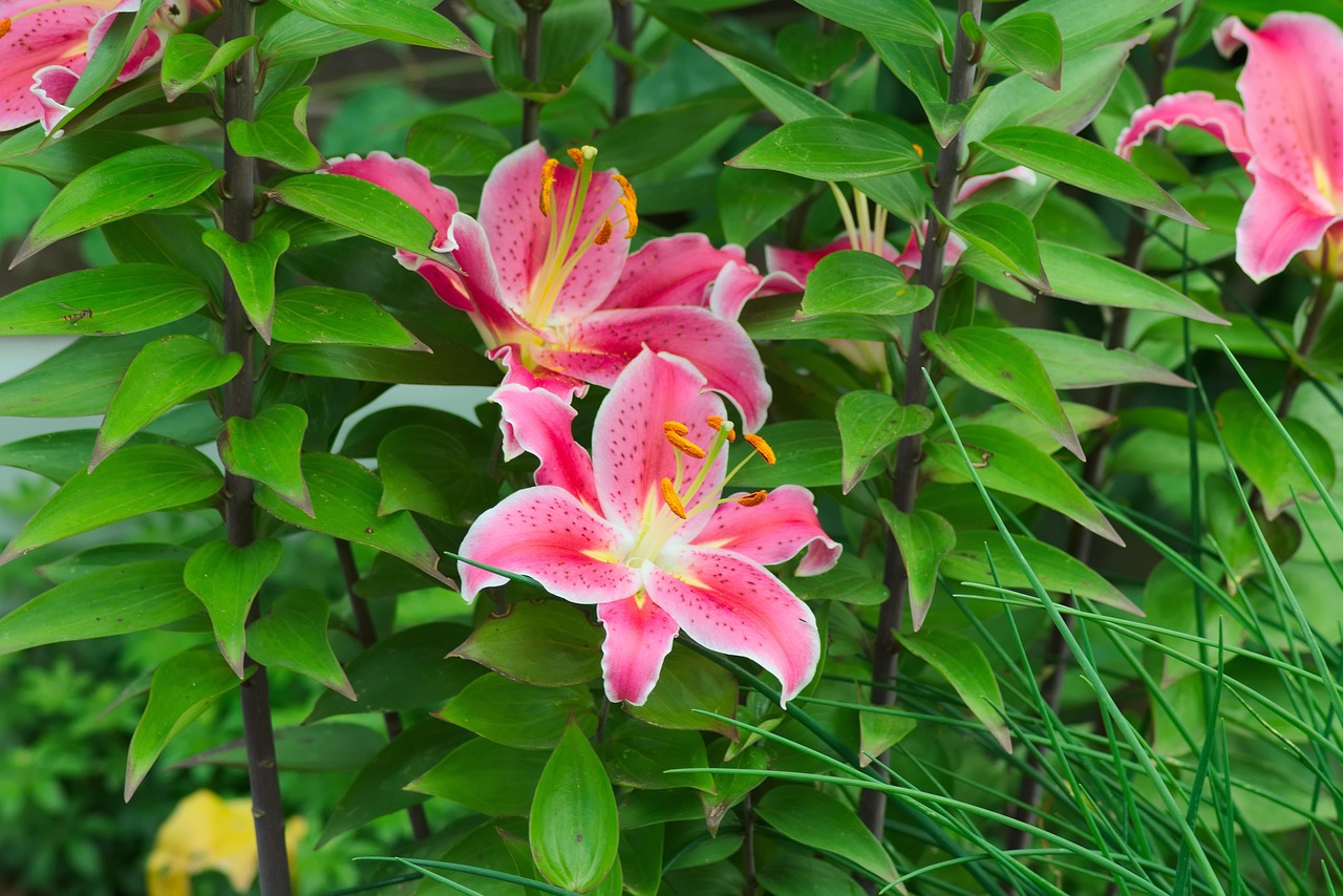 ストッキングの臭い対策にはどんな方法がある？