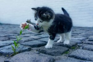 出先で足のにおいが気になるときはどうする？